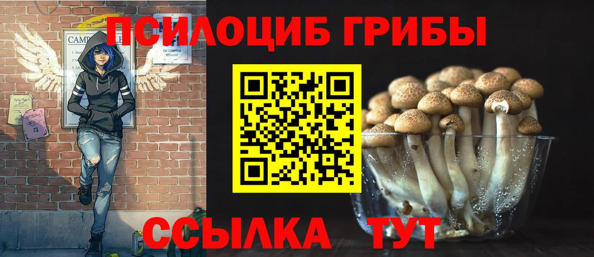 Псилоцибиновые грибы MAGIC MUSHROOMS Фурманов